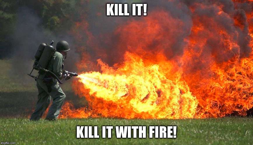 KILL IT! KILL IT WITH FIRE! | made w/ Imgflip meme maker