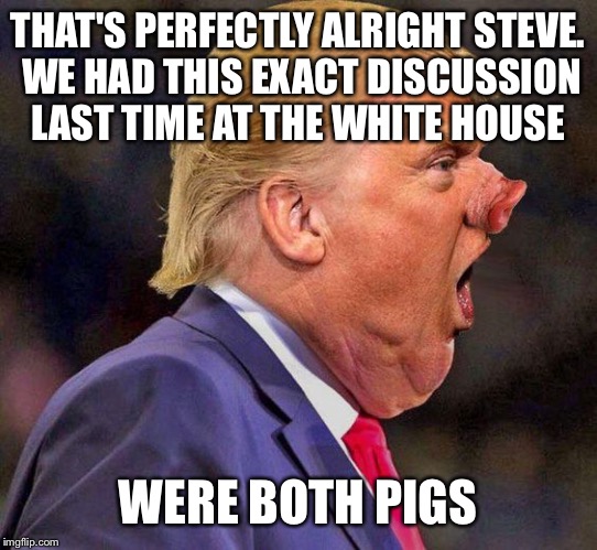 THAT'S PERFECTLY ALRIGHT STEVE. WE HAD THIS EXACT DISCUSSION LAST TIME AT THE WHITE HOUSE WERE BOTH PIGS | made w/ Imgflip meme maker