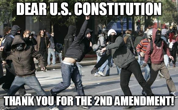 rioters | DEAR U.S. CONSTITUTION; THANK YOU FOR THE 2ND AMENDMENT! | image tagged in rioters | made w/ Imgflip meme maker
