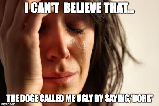 First World Problems | I CAN'T  BELIEVE THAT... THE DOGE CALLED ME UGLY BY SAYING,'BORK' | image tagged in memes,first world problems | made w/ Imgflip meme maker