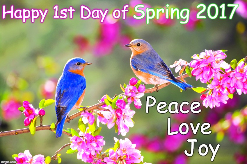 Happy 1st Day of Spring 2017. Peace Love Joy | Spring 2017; Happy 1st Day of; Peace     Love        Joy | image tagged in spring,birds,flowers,peace,love,joy | made w/ Imgflip meme maker