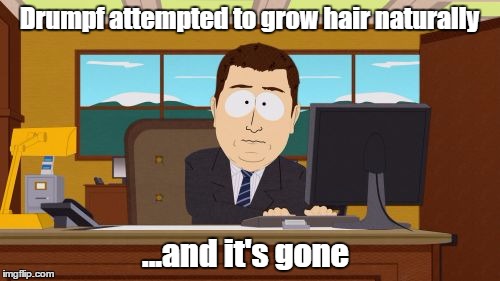 Aaaaand Its Gone Meme | Drumpf attempted to grow hair naturally ...and it's gone | image tagged in memes,aaaaand its gone | made w/ Imgflip meme maker