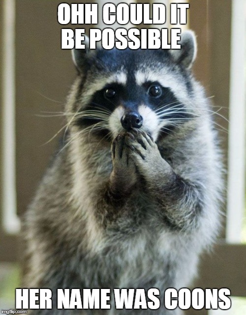 Ashamed Raccoon | OHH COULD IT BE POSSIBLE; HER NAME WAS COONS | image tagged in ashamed raccoon | made w/ Imgflip meme maker