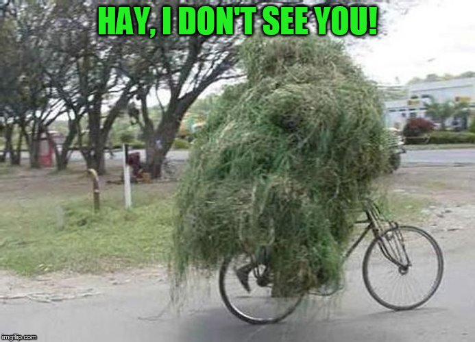 HAY, I DON'T SEE YOU! | made w/ Imgflip meme maker