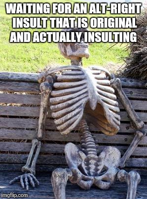 Waiting Skeleton Meme | WAITING FOR AN ALT-RIGHT INSULT THAT IS ORIGINAL AND ACTUALLY INSULTING | image tagged in memes,waiting skeleton | made w/ Imgflip meme maker
