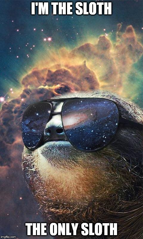 SpaceSloth | I'M THE SLOTH; THE ONLY SLOTH | image tagged in spacesloth | made w/ Imgflip meme maker