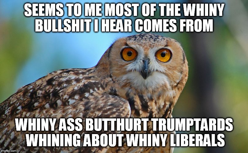 SEEMS TO ME MOST OF THE WHINY BULLSHIT I HEAR COMES FROM WHINY ASS BUTTHURT TRUMPTARDS WHINING ABOUT WHINY LIBERALS | made w/ Imgflip meme maker