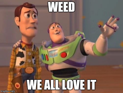 X, X Everywhere | WEED; WE ALL LOVE IT | image tagged in memes,x x everywhere | made w/ Imgflip meme maker