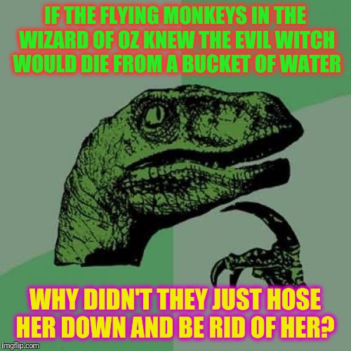 Philosoraptor | IF THE FLYING MONKEYS IN THE WIZARD OF OZ KNEW THE EVIL WITCH WOULD DIE FROM A BUCKET OF WATER; WHY DIDN'T THEY JUST HOSE HER DOWN AND BE RID OF HER? | image tagged in memes,philosoraptor | made w/ Imgflip meme maker