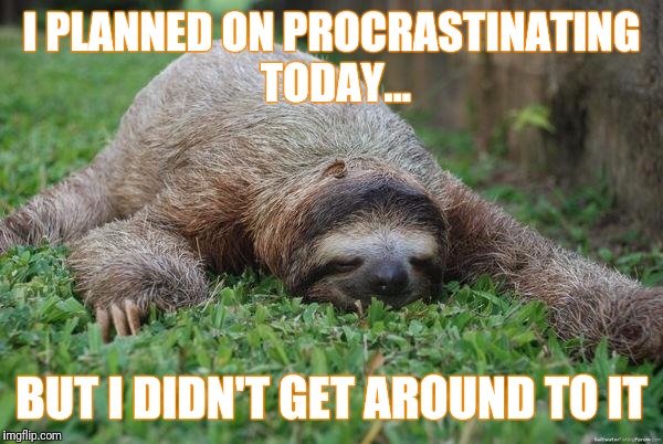 Sloth Monday | I PLANNED ON PROCRASTINATING TODAY... BUT I DIDN'T GET AROUND TO IT | image tagged in sloth monday | made w/ Imgflip meme maker