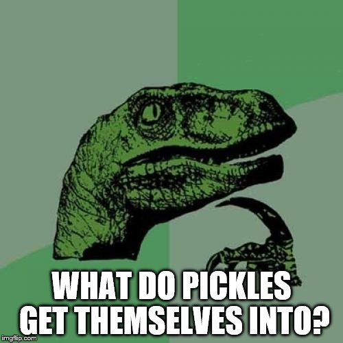 Philosoraptor | WHAT DO PICKLES GET THEMSELVES INTO? | image tagged in memes,philosoraptor | made w/ Imgflip meme maker