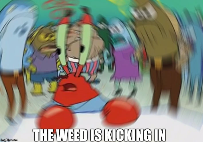Mr Krabs Blur Meme Meme | THE WEED IS KICKING IN | image tagged in memes,mr krabs blur meme | made w/ Imgflip meme maker
