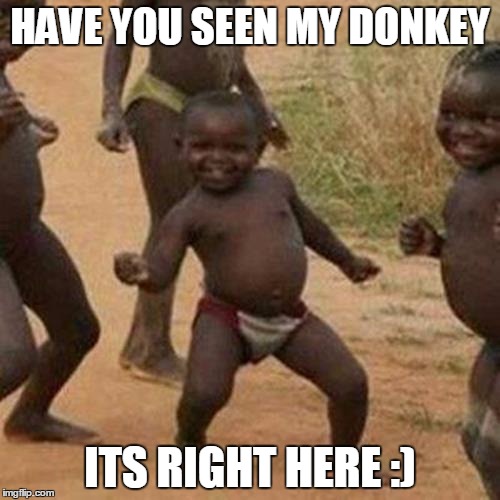 Third World Success Kid | HAVE YOU SEEN MY DONKEY; ITS RIGHT HERE :) | image tagged in memes,third world success kid | made w/ Imgflip meme maker