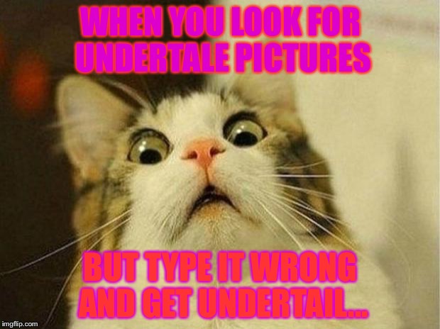 Let's be honest:it probably happened to us. | WHEN YOU LOOK FOR UNDERTALE PICTURES; BUT TYPE IT WRONG AND GET UNDERTAIL... | image tagged in memes,scared cat | made w/ Imgflip meme maker