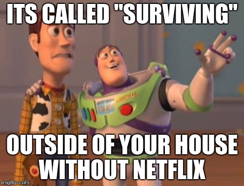 X, X Everywhere | ITS CALLED "SURVIVING"; OUTSIDE OF YOUR HOUSE WITHOUT NETFLIX | image tagged in memes,x x everywhere | made w/ Imgflip meme maker