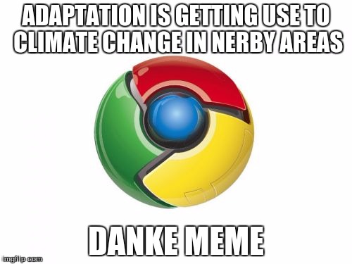Google Chrome | ADAPTATION IS GETTING USE TO CLIMATE CHANGE IN NERBY AREAS; DANKE MEME | image tagged in memes,google chrome | made w/ Imgflip meme maker
