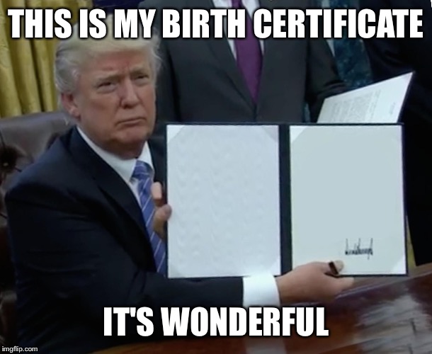 Trump's wonderful birth certificate | THIS IS MY BIRTH CERTIFICATE; IT'S WONDERFUL | image tagged in trump,birth certificate | made w/ Imgflip meme maker