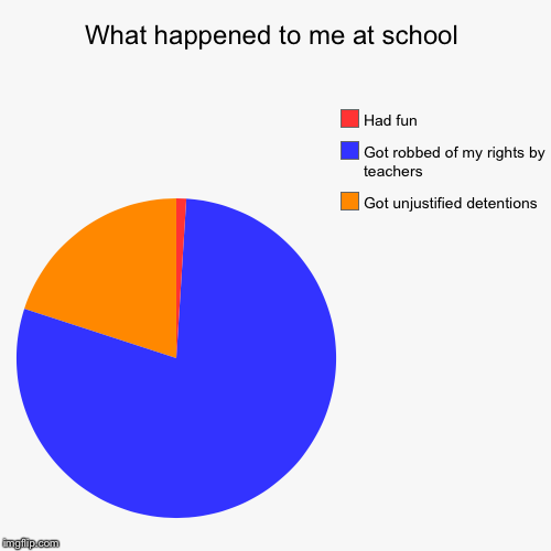 School... | image tagged in pie charts,common sense | made w/ Imgflip chart maker