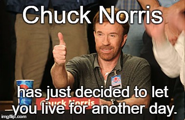 Chuck Norris Approves | Chuck Norris; has just decided to let you live for another day. | image tagged in memes,chuck norris approves,chuck norris | made w/ Imgflip meme maker