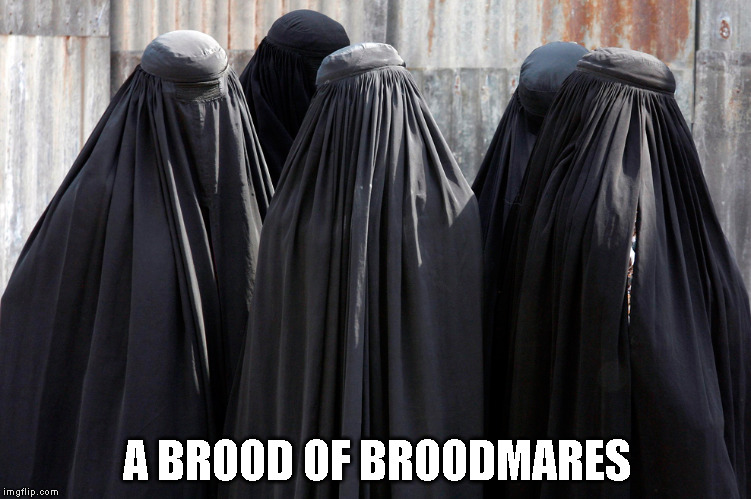 burkas | A BROOD OF BROODMARES | image tagged in burkas | made w/ Imgflip meme maker