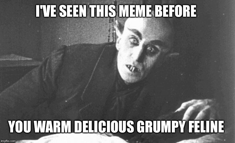 I'VE SEEN THIS MEME BEFORE YOU WARM DELICIOUS GRUMPY FELINE | made w/ Imgflip meme maker