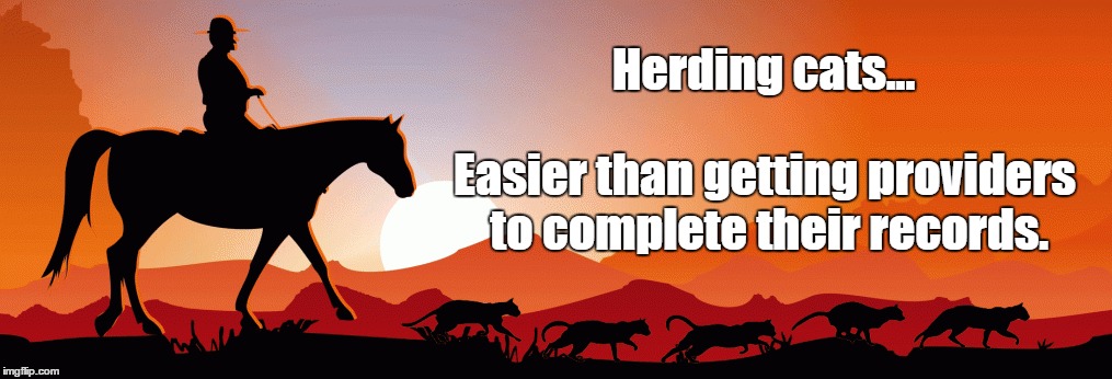 What every HIM professional feels. | Herding cats... Easier than getting providers to complete their records. | image tagged in medical records,doctors | made w/ Imgflip meme maker