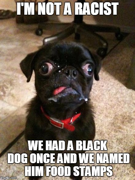 Racism alive and well thanks to Obama Care | I'M NOT A RACIST; WE HAD A BLACK DOG ONCE AND WE NAMED HIM FOOD STAMPS | image tagged in funny,not racist | made w/ Imgflip meme maker