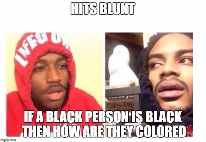 Hits blunt | HITS BLUNT; IF A BLACK PERSON IS BLACK THEN HOW ARE THEY COLORED | image tagged in hits blunt | made w/ Imgflip meme maker