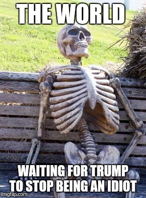 Waiting Skeleton Meme | THE WORLD; WAITING FOR TRUMP TO STOP BEING AN IDIOT | image tagged in memes,waiting skeleton | made w/ Imgflip meme maker