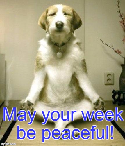 Inner Peace Dog | May your week be peaceful! | image tagged in inner peace dog | made w/ Imgflip meme maker