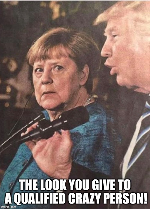 THE LOOK YOU GIVE TO A QUALIFIED CRAZY PERSON! | image tagged in angela merkel,donald trump | made w/ Imgflip meme maker