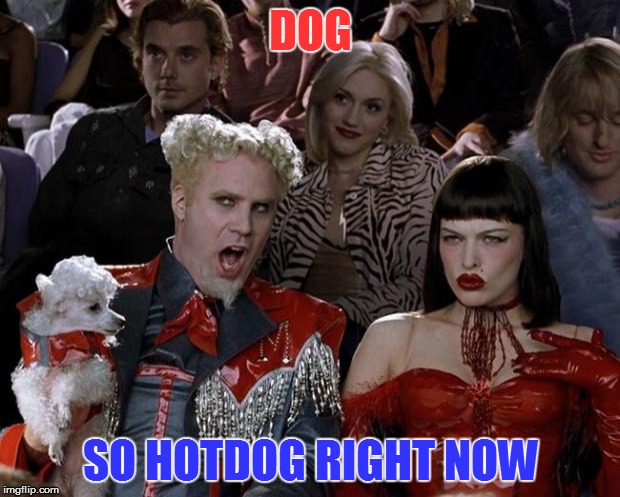 Mugatu So Hot Right Now Meme | DOG SO HOTDOG RIGHT NOW | image tagged in memes,mugatu so hot right now | made w/ Imgflip meme maker