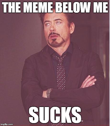Face You Make Robert Downey Jr Meme | THE MEME BELOW ME; SUCKS | image tagged in memes,face you make robert downey jr | made w/ Imgflip meme maker