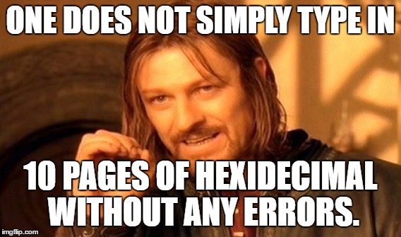 One Does Not Simply Meme | ONE DOES NOT SIMPLY TYPE IN 10 PAGES OF HEXIDECIMAL WITHOUT ANY ERRORS. | image tagged in memes,one does not simply | made w/ Imgflip meme maker