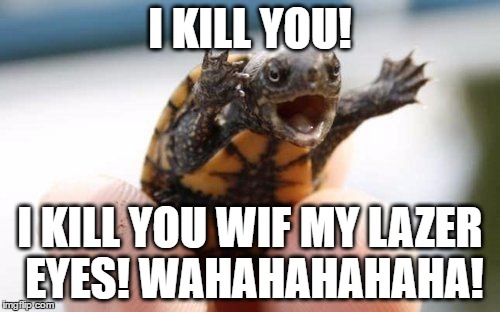 You no match for teeny turtle! | I KILL YOU! I KILL YOU WIF MY LAZER EYES! WAHAHAHAHAHA! | image tagged in bring it,turtle | made w/ Imgflip meme maker