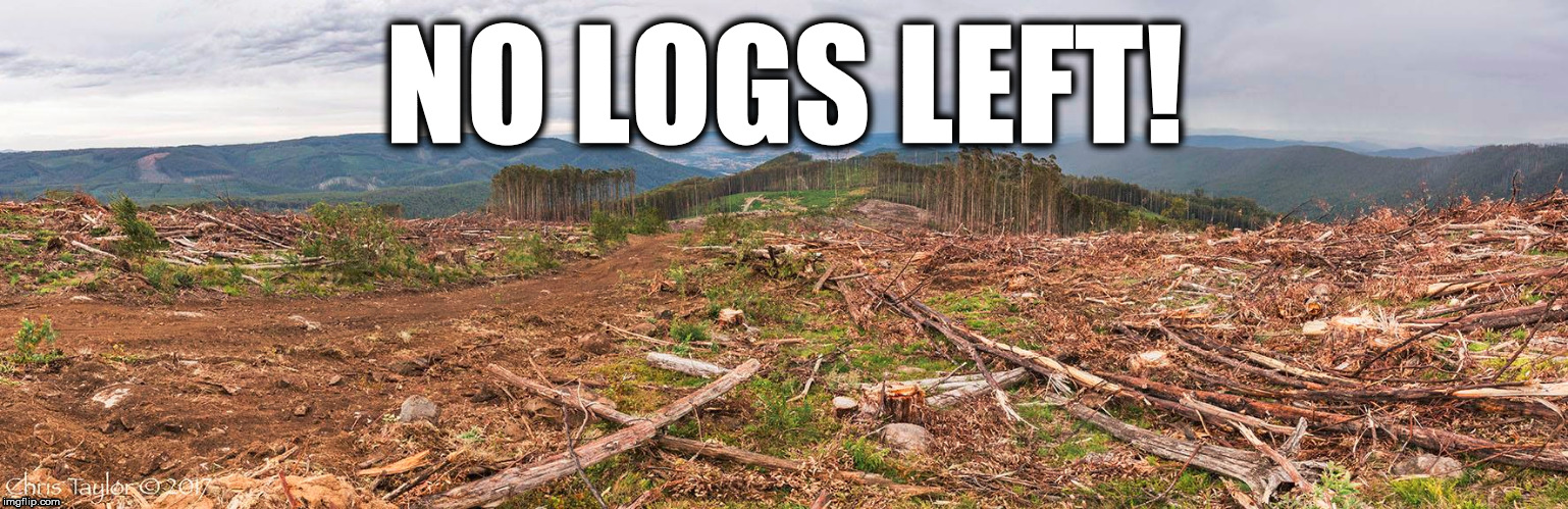 no logs left | NO LOGS LEFT! | image tagged in forests,logging | made w/ Imgflip meme maker