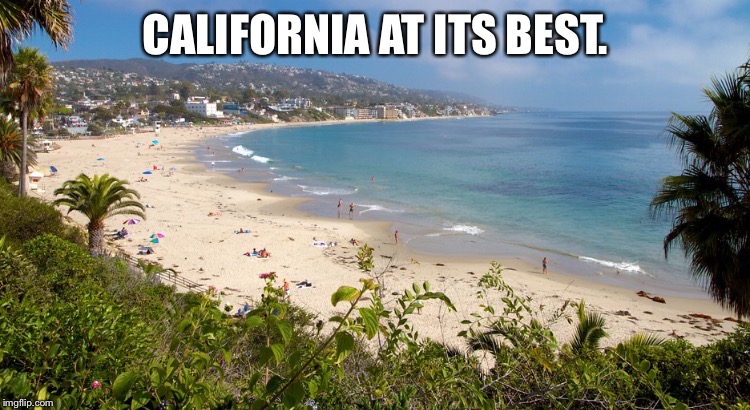 CALIFORNIA AT ITS BEST. | image tagged in lb | made w/ Imgflip meme maker