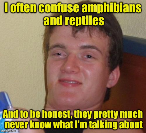 10 Guy Meme | I often confuse amphibians and reptiles; And to be honest, they pretty much never know what I'm talking about | image tagged in memes,10 guy | made w/ Imgflip meme maker