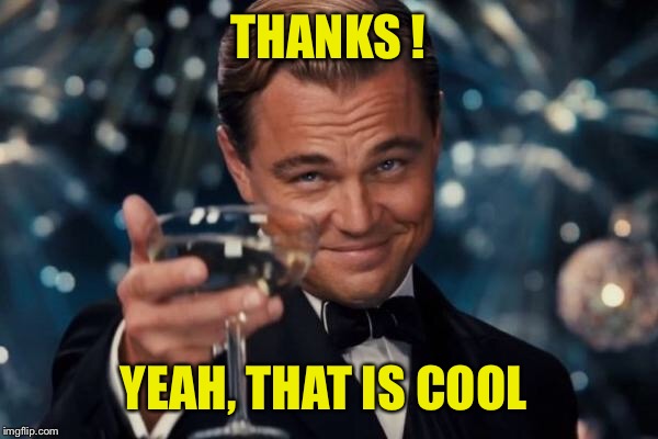 Leonardo Dicaprio Cheers Meme | THANKS ! YEAH, THAT IS COOL | image tagged in memes,leonardo dicaprio cheers | made w/ Imgflip meme maker