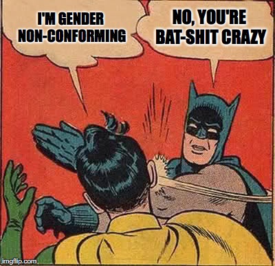 Batman Slapping Robin | NO, YOU'RE BAT-SHIT CRAZY; I'M GENDER NON-CONFORMING | image tagged in memes,batman slapping robin | made w/ Imgflip meme maker