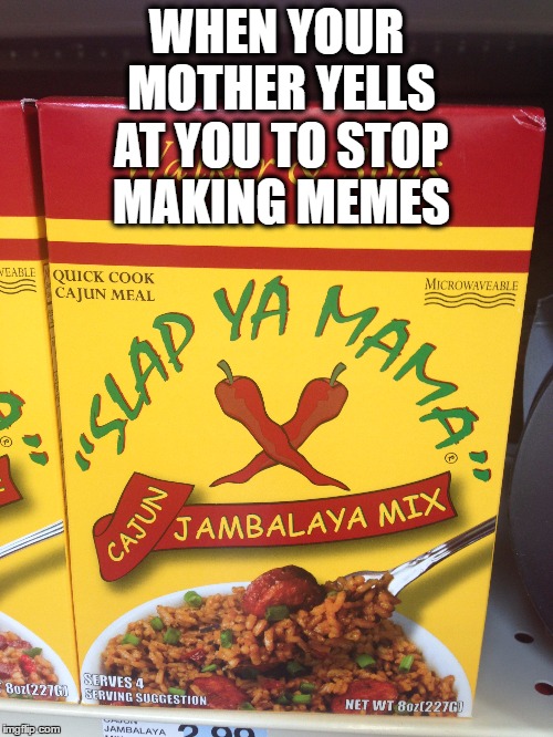 Slap Ya Mama | WHEN YOUR MOTHER YELLS AT YOU TO STOP MAKING MEMES | image tagged in mother | made w/ Imgflip meme maker