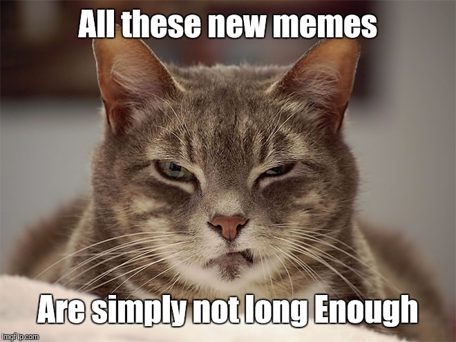 Pete Repeat bandwagon | All these new memes; Are simply not long Enough | image tagged in sarcasm cat,pete and repeat | made w/ Imgflip meme maker