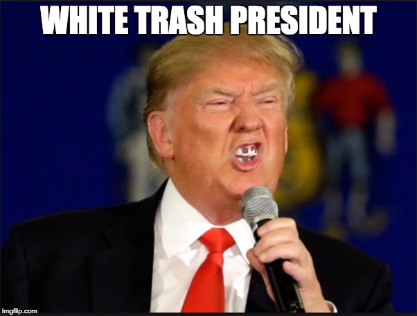 WHITE TRASH PRESIDENT | image tagged in memes | made w/ Imgflip meme maker