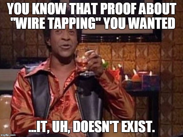 SNL Ladies Man | YOU KNOW THAT PROOF ABOUT "WIRE TAPPING" YOU WANTED; ...IT, UH, DOESN'T EXIST. | image tagged in snl ladies man | made w/ Imgflip meme maker