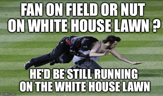 Secret Service | FAN ON FIELD OR NUT ON WHITE HOUSE LAWN ? HE'D BE STILL RUNNING ON THE WHITE HOUSE LAWN | image tagged in secret service,nuts,incompetence,donald trump,obama | made w/ Imgflip meme maker