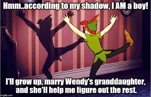 Peter Pan, the unconfused faerie. | Hmm..according to my shadow, I AM a boy! I'll grow up, marry Wendy's granddaughter, and she'll help me figure out the rest. | image tagged in disney | made w/ Imgflip meme maker