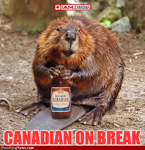 CANADIAN ON BREAK | made w/ Imgflip meme maker
