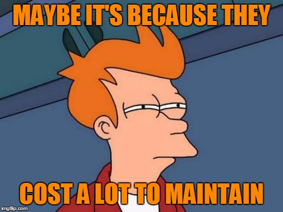 Futurama Fry Meme | MAYBE IT'S BECAUSE THEY COST A LOT TO MAINTAIN | image tagged in memes,futurama fry | made w/ Imgflip meme maker