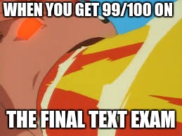 i can't come up for a joke for this | WHEN YOU GET 99/100 ON; THE FINAL TEXT EXAM | image tagged in meme,vulpix,lol_idk,kill me,this will not get any upvotes,will it | made w/ Imgflip meme maker