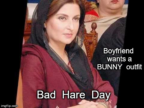 Bunny outfit - Bad Hare day | Boyfriend wants a BUNNY  outfit; Bad  Hare  Day | image tagged in woman frown | made w/ Imgflip meme maker